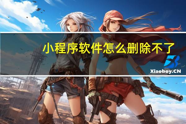 小程序软件怎么删除不了