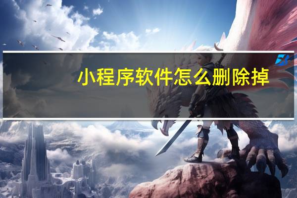 小程序软件怎么删除掉