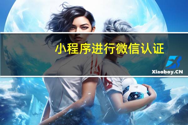 小程序进行微信认证