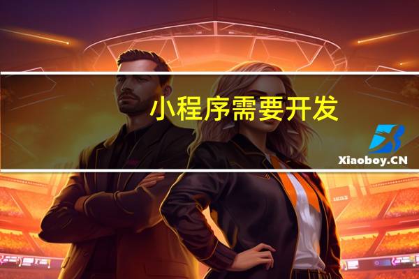 小程序需要开发