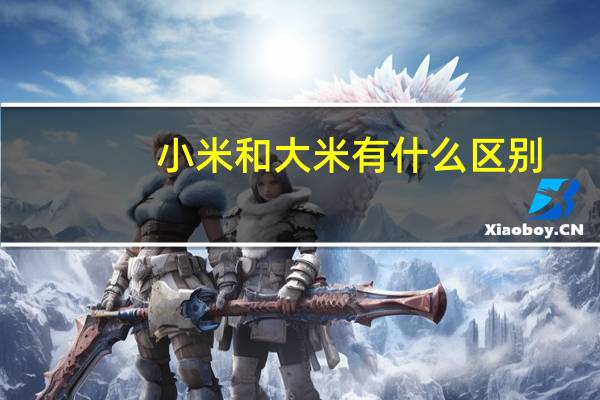 小米和大米有什么区别