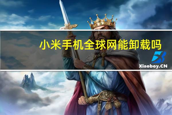 小米手机全球网能卸载吗
