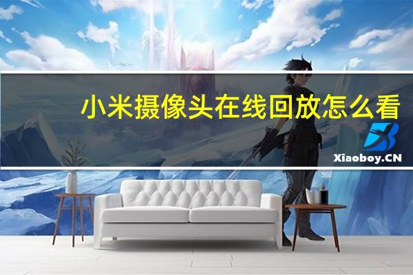 小米摄像头在线回放怎么看