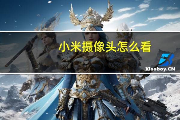 小米摄像头怎么看