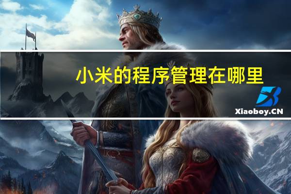 小米的程序管理在哪里