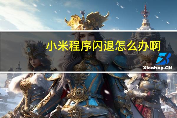 小米程序闪退怎么办啊