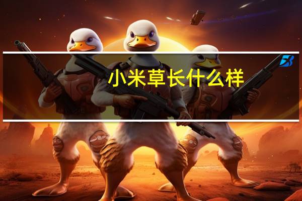小米草长什么样
