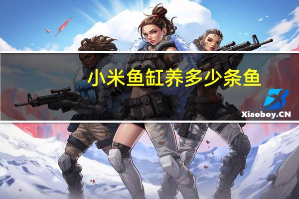 小米鱼缸养多少条鱼