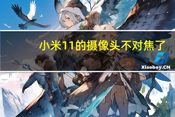 小米11的摄像头不对焦了