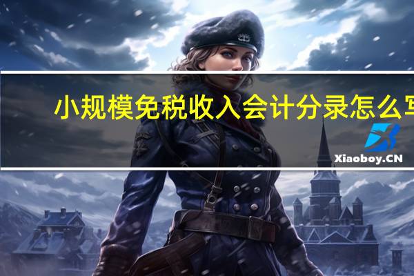 小规模免税收入会计分录怎么写