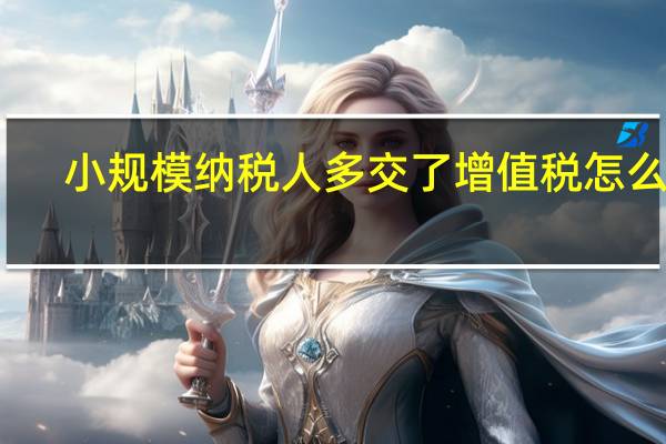 小规模纳税人多交了增值税怎么办