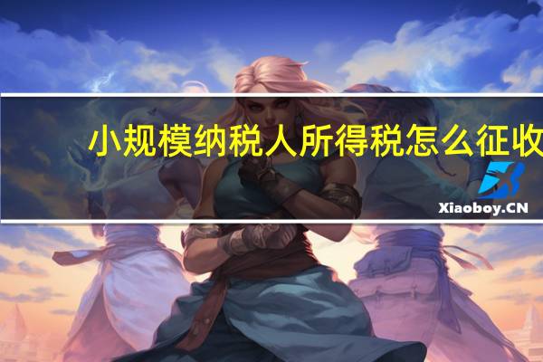 小规模纳税人所得税怎么征收