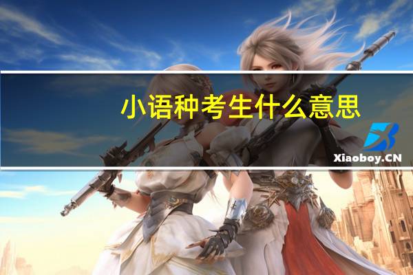 小语种考生什么意思