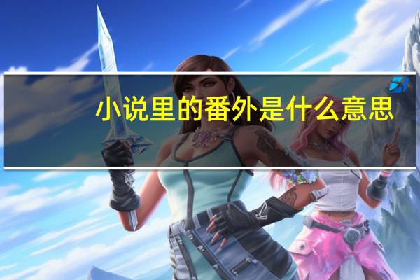 小说里的番外是什么意思