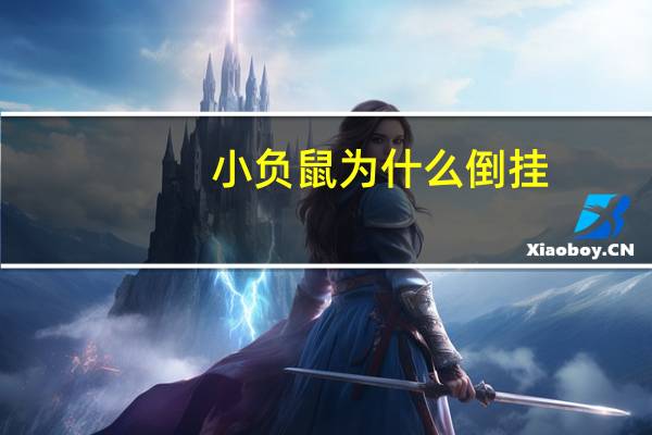 小负鼠为什么倒挂