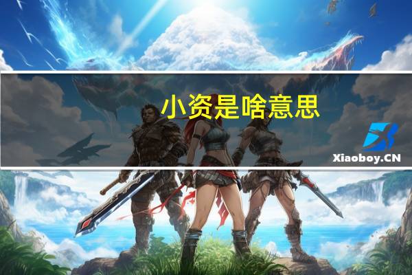 小资是啥意思