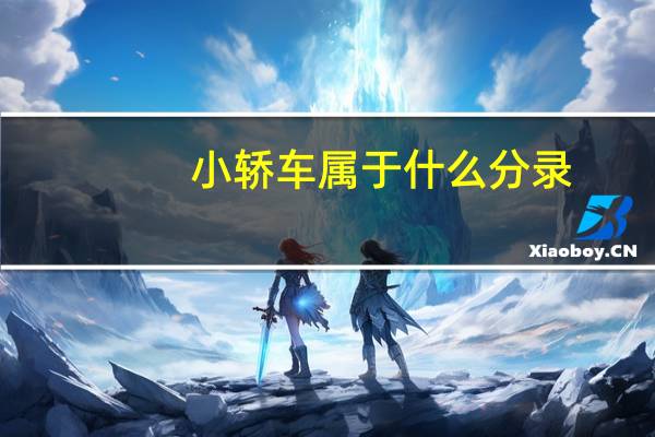 小轿车属于什么分录
