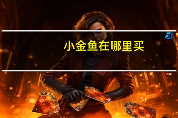 小金鱼在哪里买