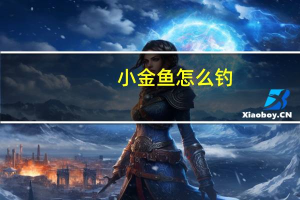 小金鱼怎么钓