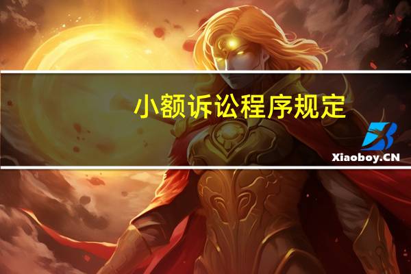 小额诉讼程序规定