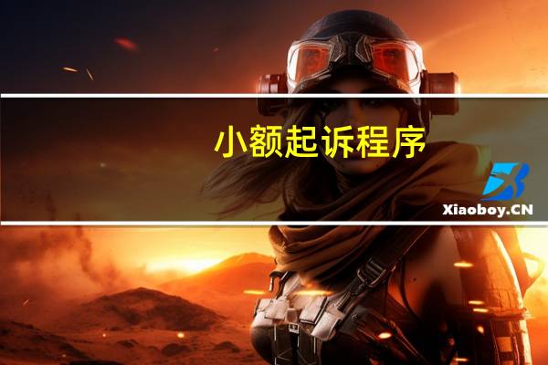 小额起诉程序
