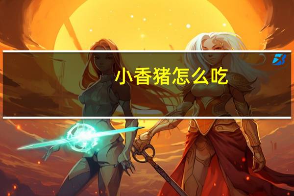 小香猪怎么吃