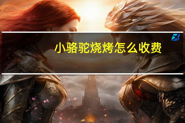 小骆驼烧烤怎么收费