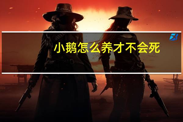 小鹅怎么养才不会死