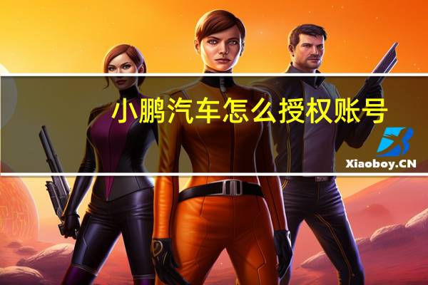 小鹏汽车怎么授权账号