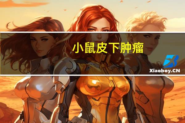 小鼠皮下肿瘤