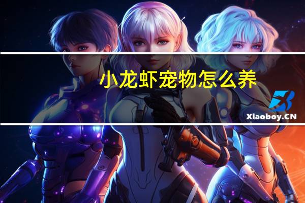 小龙虾宠物怎么养
