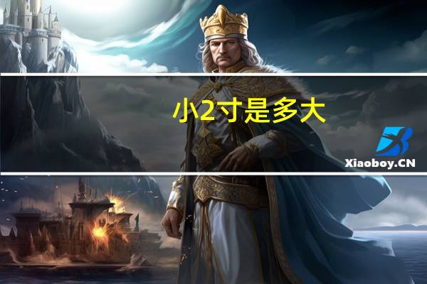 小2寸是多大