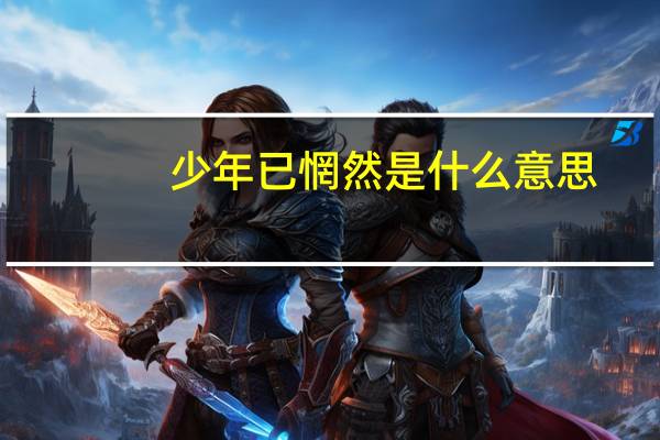 少年已惘然是什么意思