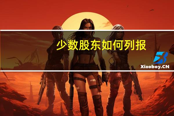 少数股东如何列报