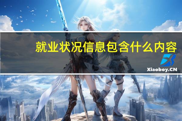 就业状况信息包含什么内容