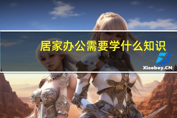 居家办公需要学什么知识