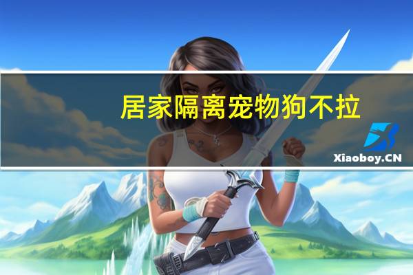 居家隔离宠物狗不拉