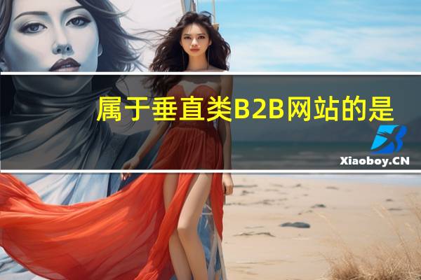 属于垂直类B2B网站的是