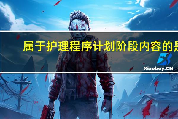 属于护理程序计划阶段内容的是