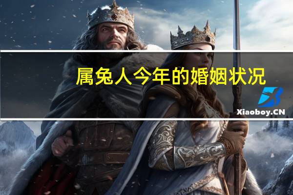 属兔人今年的婚姻状况