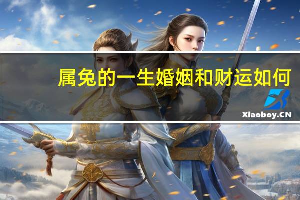 属兔的一生婚姻和财运如何