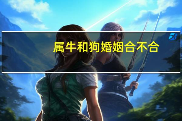 属牛和狗婚姻合不合
