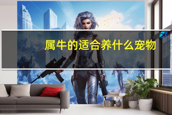 属牛的适合养什么宠物