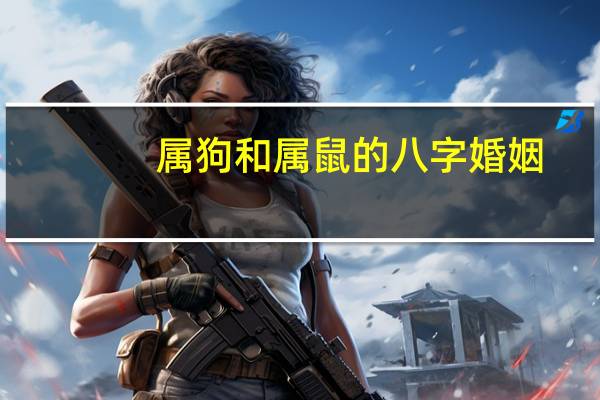 属狗和属鼠的八字婚姻