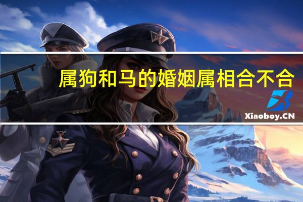 属狗和马的婚姻属相合不合