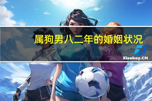属狗男八二年的婚姻状况