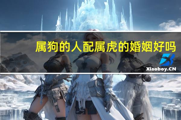 属狗的人配属虎的婚姻好吗