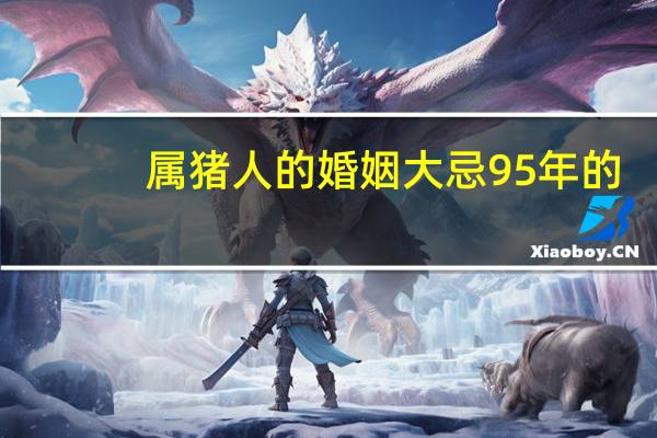 属猪人的婚姻大忌95年的