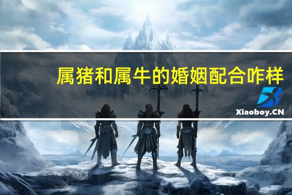 属猪和属牛的婚姻配合咋样