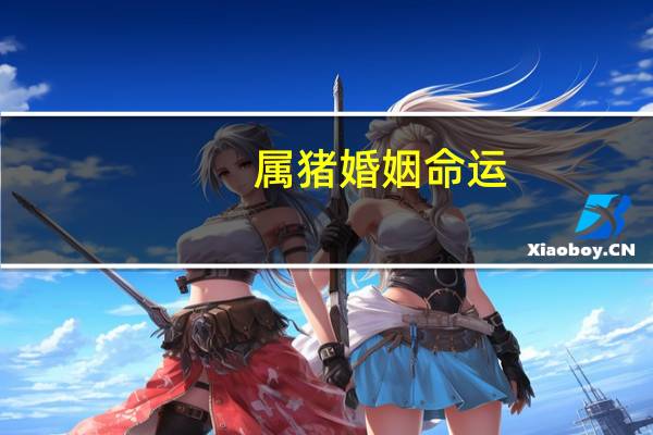 属猪婚姻命运